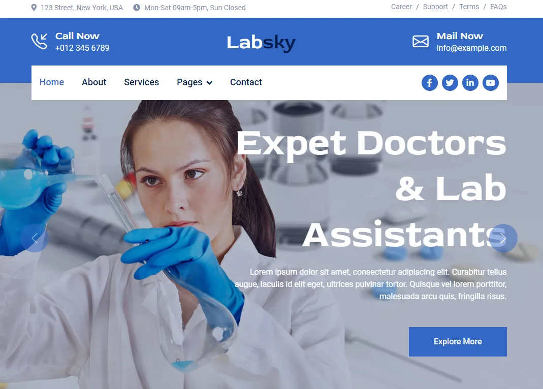 diseño web para laboratorio LaboratoryLak
